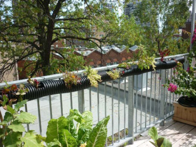 What Your Garden Can Teach About Cities Image